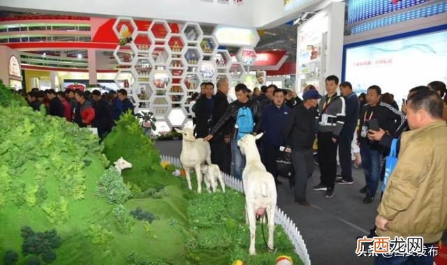 杨凌周边有没有地方出租,杨凌创业工场
