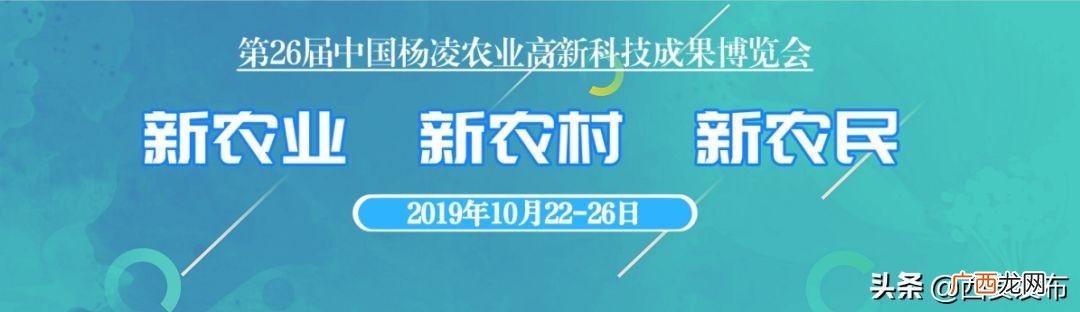 杨凌周边有没有地方出租,杨凌创业工场