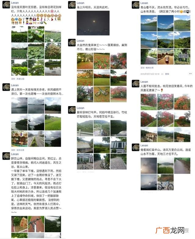 语文素养的心理学解释,语文素养的内涵