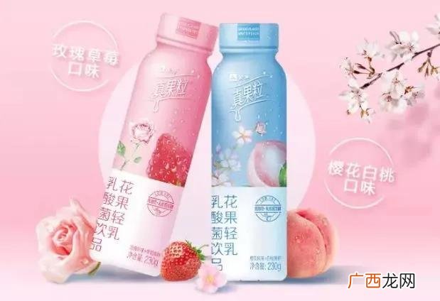 达利园益生菌招代理商 郑州达利园代理商