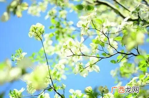 激励女性创业正能量 女人创业句子