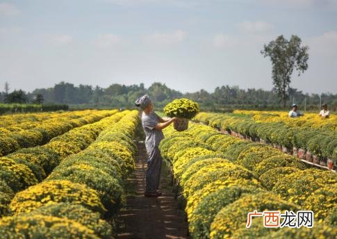 穷人做什么生意来钱快,没文化怎么创业
