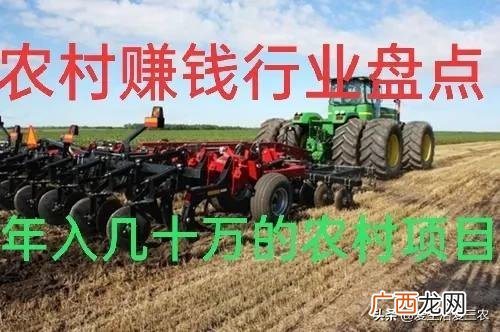 2021年农村商机,2021年最大的商机