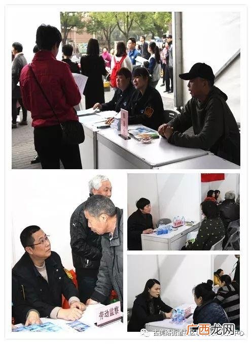 就业招聘会简报500字 政府创业就业培训简报