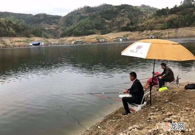 鱼塘水浅适合养殖什么,鱼塘适合养殖哪些鱼类