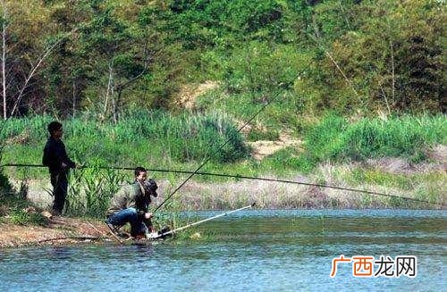鱼塘水浅适合养殖什么,鱼塘适合养殖哪些鱼类