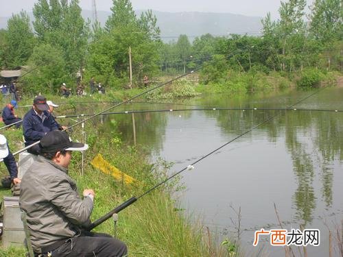鱼塘水浅适合养殖什么,鱼塘适合养殖哪些鱼类