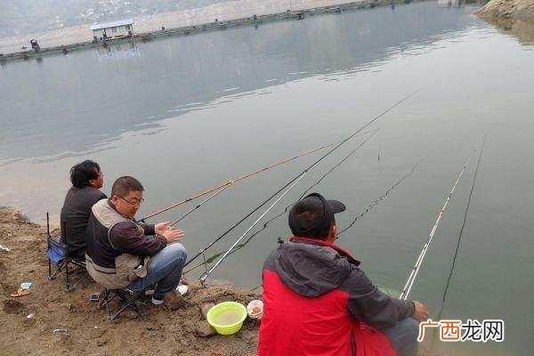 鱼塘水浅适合养殖什么,鱼塘适合养殖哪些鱼类