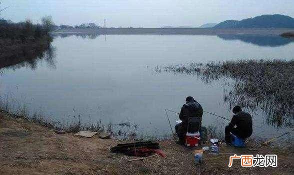 鱼塘水浅适合养殖什么,鱼塘适合养殖哪些鱼类
