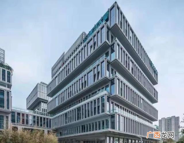 项目完成情况怎么写 项目成效及市场前景