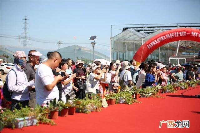 莱州马家庄收门票了吗 莱州科技广场水上乐园