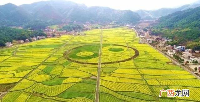 政府补贴项目有哪些,政府重点扶持项目宣传