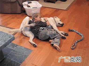 cpg500,cpg女孩创业故事