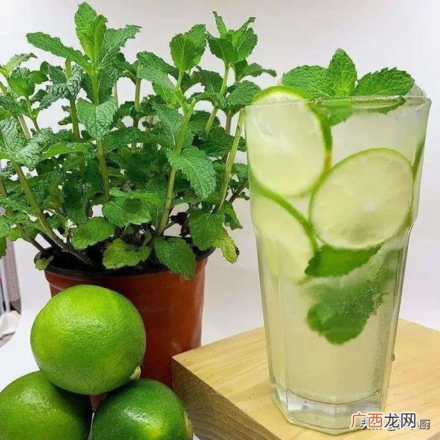 饮料制作配方大全 饮料配方公司