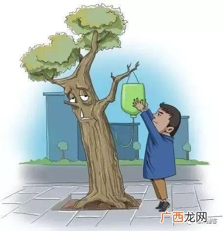 高级物业管理师证 物业管理员资格证图片