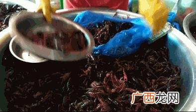 成都酒瓶批发市场有吗,成都小零食批发市场在哪里有