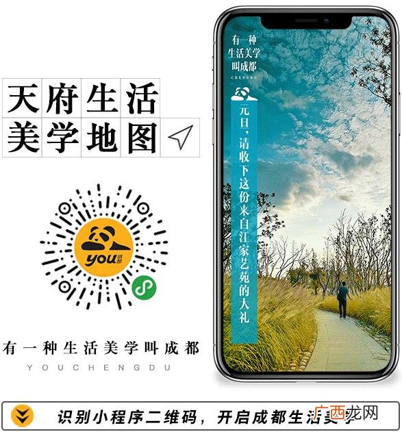成都酒瓶批发市场有吗,成都小零食批发市场在哪里有