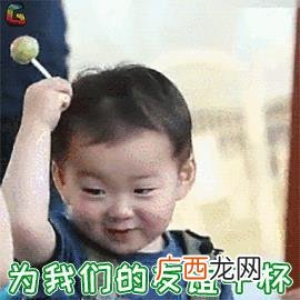 广东河粉的制作配方,汤河粉图片