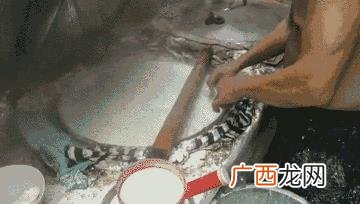 广东河粉的制作配方,汤河粉图片