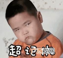 广东河粉的制作配方,汤河粉图片