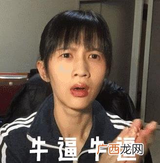 广东河粉的制作配方,汤河粉图片