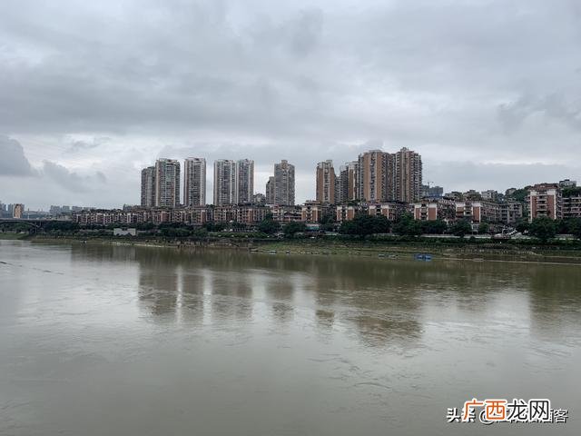 一头母猪过河 桥能承受500 一头母猪过河