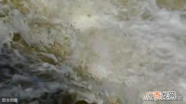 一头母猪过河 桥能承受500 一头母猪过河