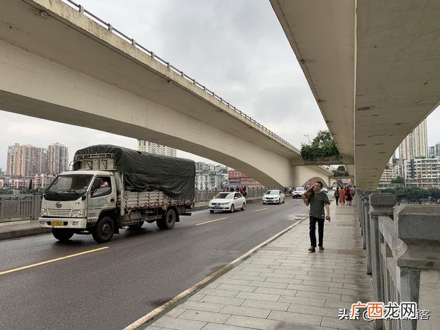 一头母猪过河 桥能承受500 一头母猪过河