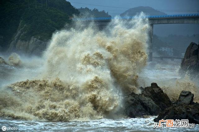 一头母猪过河 桥能承受500 一头母猪过河