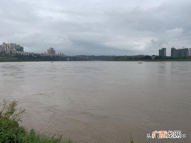 一头母猪过河 桥能承受500 一头母猪过河
