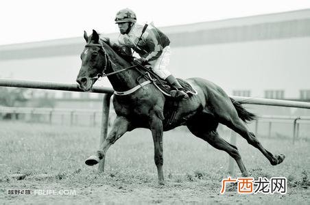 致富的电影,讲创业的电影