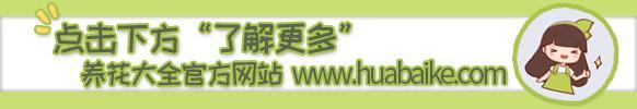 自作清洁剂,可乐做清洁剂