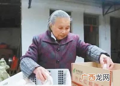 高龄创业成功案例,年龄大创业成功的有哪些人