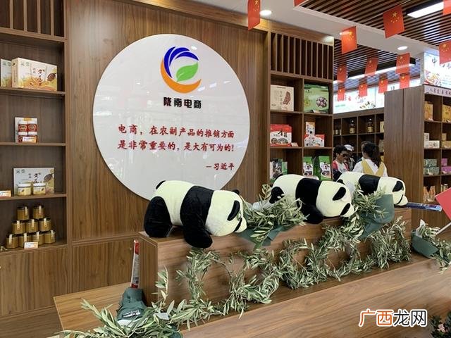 陇南上电子,陇南电商平台