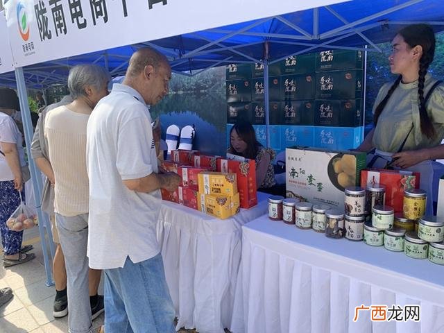 陇南上电子,陇南电商平台