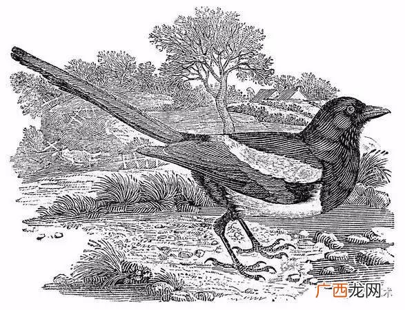 木版画美术课件,木版画教案