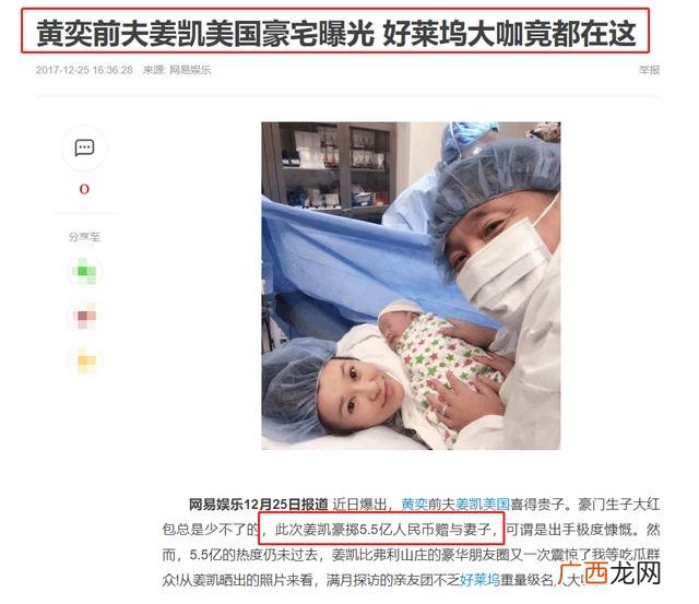 黄奕一年赚多少钱,黄奕投资蛋糕什么品牌