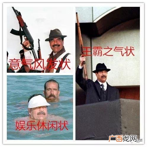 萨达姆传简介,韩斯野简介