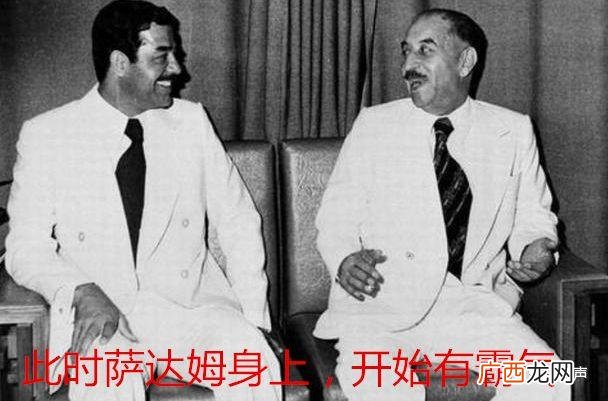 萨达姆传简介,韩斯野简介