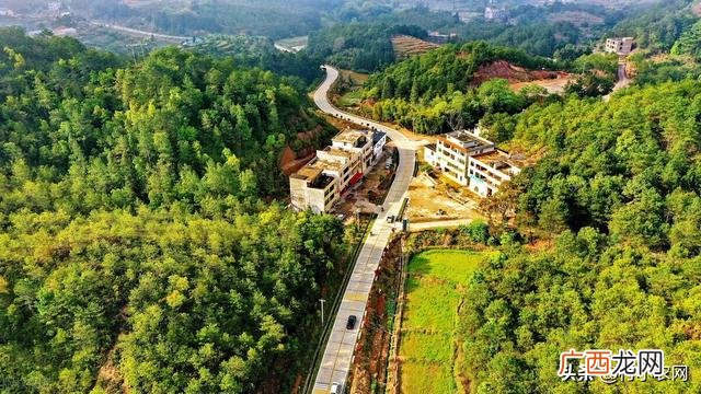 南方农村种植业什么项目好,新农业创业项目种植品种