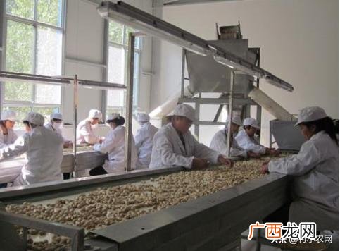 南方农村种植业什么项目好,新农业创业项目种植品种