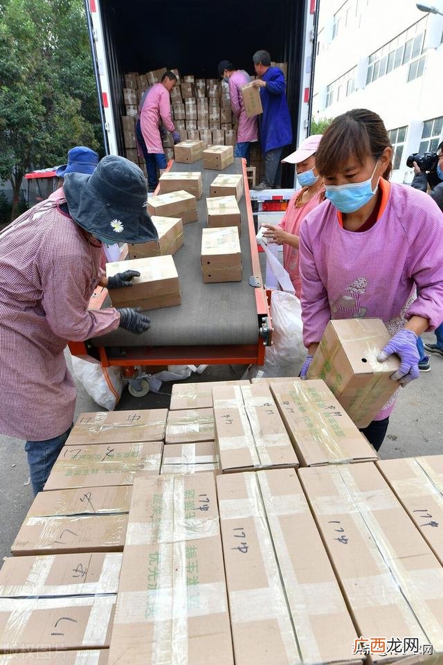 南方农村种植业什么项目好,新农业创业项目种植品种