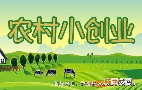 适合农村青年创业项目 农民该怎样创业