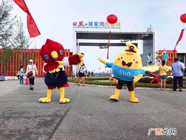 高歌慕,海螺创业高歌