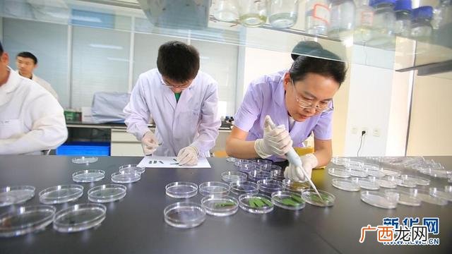 硬核赢创新网课考试答案,硬核赢创业