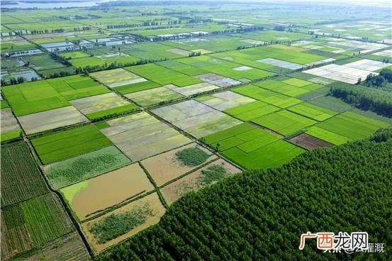 高标准基本农田建设 高标准农田建设的意义