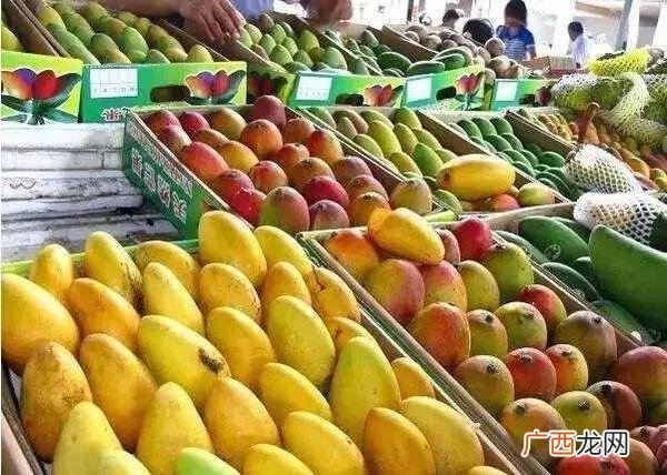 致富网小投资项目 创业资金小项目