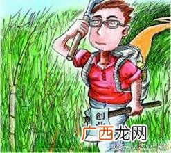 鼓励回乡创业的文章,返乡创业发言稿