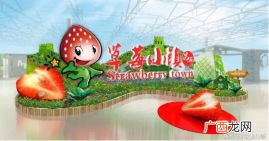 鼓励回乡创业的文章,返乡创业发言稿