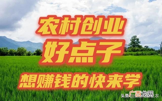 适合农村的致富小项目 农村小本创业致富项目